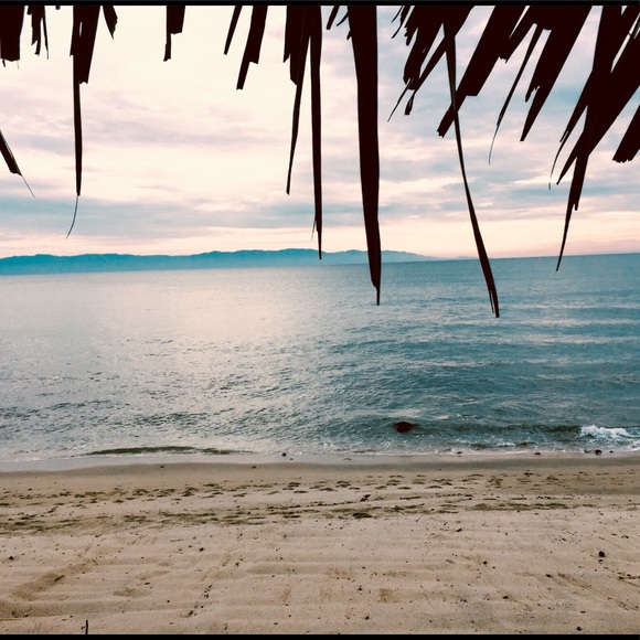 Meet your Posher, Millie - Picture 2 of 5